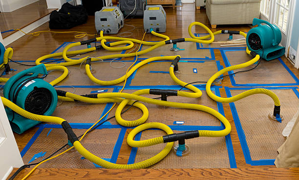 Professional Basement Flood Cleanup technician working in Ostrander, MN